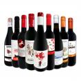  おうちタパスにピッタリ スペイン Spain 各地の赤飲み比べ おうちバル赤ワイン wine 9本セット set 