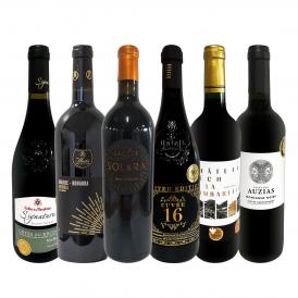  第10弾 圧倒的な充実感 格上贅沢な極旨赤ワイン wine 6本セット set 