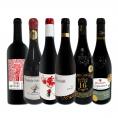  第45弾 濃厚赤ワイン wine 好き必見 大満足のフルボディ6本セット set 