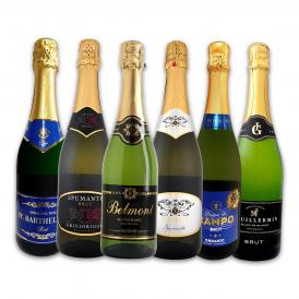  第110弾 泡祭り 当店厳選辛口スパークリング sparkling ワイン wine 6本スペシャルセット set 