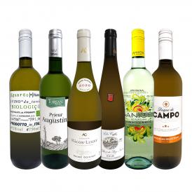  第55弾 当店 極 厳選 白ワイン wine 好きならこのセット set 格別の美味しさ 華やかな上質白ワイン wine を存分に味わう贅沢白ワイン wine 6本セット set 