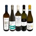  バラエティ豊かな個性を満喫 激旨イタリア Italy 白ワイン wine 5本セット set 