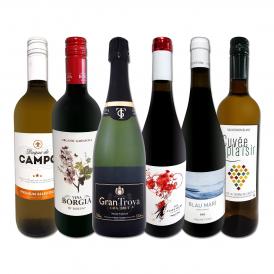  スペイン Spain 担当厳選 スペイン Spain 固有品種を知るならこの6本 スペイン Spain おうちバル6本セット set 