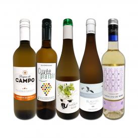  目からウロコ スペイン Spain 白ワイン wine の いま は超激旨 スペイン Spain おうちバル白ワイン wine 5本セット set 