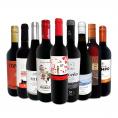  おうちタパスにピッタリ スペイン Spain 各地の赤飲み比べ おうちバル赤ワイン wine 9本セット set 