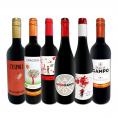  スペイン Spain 全土の地ワイン wine 満喫 スペイン Spain おうちバル赤ワイン wine 6本セット set 