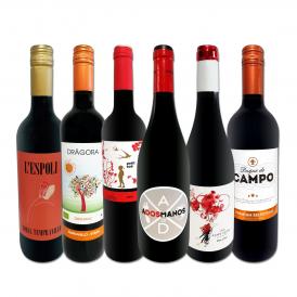  スペイン Spain 全土の地ワイン wine 満喫 スペイン Spain おうちバル赤ワイン wine 6本セット set 