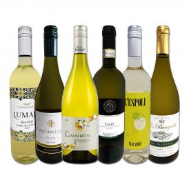 白ワイン wine 辛口 セット set ワイン wine セット set 白 ワイン wine ギフト 箱 京橋ワイン wine 京橋わいん 特選 6本 お歳暮飲み比べ シャルドネ chardonn