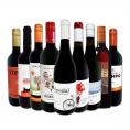  おうちタパスにピッタリ スペイン Spain 各地の赤飲み比べ おうちバル赤ワイン wine 9本セット set 