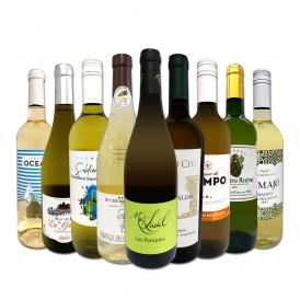  端数在庫一掃 白ワイン wine 9本セット set 