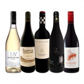  南アフリカ満喫セット set 世界でもっとも美しいワイン wine 産地と呼ばれる南アらしいワイン wine 5本セット set 