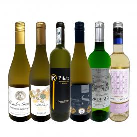  第57弾 当店 極 厳選 白ワイン wine 好きならこのセット set 格別の美味しさ 華やかな上質白ワイン wine を存分に味わう贅沢白ワイン wine 6本セット set 