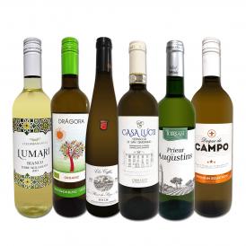 白ワイン wine 辛口 セット set ワイン wine セット set 白 ワイン wine ギフト 箱 京橋ワイン wine 京橋わいん 特選 6本 お歳暮飲み比べ シャルドネ chardonn