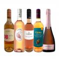 世界的にも大人気 お洒落な大人のためのロゼ rose ワイン wine ５本セット set 
