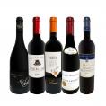  端数在庫一掃 高級贅沢なワイン wine ばかり赤5本セット set 
