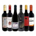  170弾 当店厳選 これぞ極旨赤ワイン wine 大満足 充実の飲み応え 贅沢なスーパー・セレクト