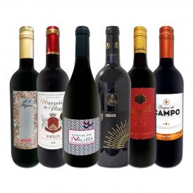  170弾 当店厳選 これぞ極旨赤ワイン wine 大満足 充実の飲み応え 贅沢なスーパー・セレクト