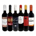  第169弾 当店厳選 これぞ極旨赤ワイン wine 大満足 充実の飲み応え 贅沢なスーパー・セレクト