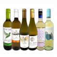  第221弾 美味しい辛口白ワイン wine だけを当店が厳選 特大感謝の大満足白ワイン wine 6本セット set 