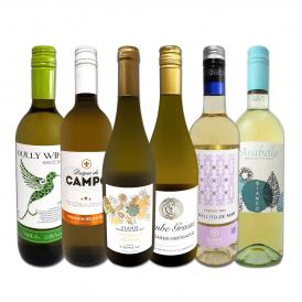  第221弾 美味しい辛口白ワイン wine だけを当店が厳選 特大感謝の大満足白ワイン wine 6本セット set 