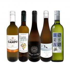  目からウロコ スペイン Spain 白ワイン wine の いま は超激旨 スペイン Spain おうちバル白ワイン wine 5本セット set 