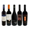  当店ベストセラーばかり 赤ワイン wine だけ リッチな贅沢ワイン wine 5本セット set 