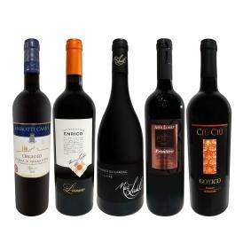  当店ベストセラーばかり 赤ワイン wine だけ リッチな贅沢ワイン wine 5本セット set 