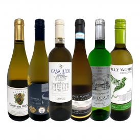  第59弾 当店 極 厳選 白ワイン wine 好きならこのセット set 格別の美味しさ 華やかな上質白ワイン wine を存分に味わう贅沢白ワイン wine 6本セット set 