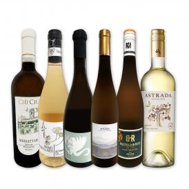  当店独自輸入 暑い夏に 白ワイン wine 好きバイヤー厳選白ワイン wine 6本セット set 