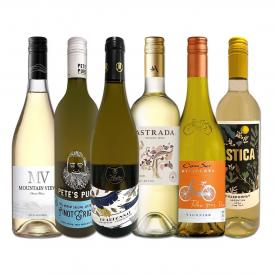  超お買い得 新世界の白品種違い５品種6本セット set 毎日飲んでも飲み飽きない 