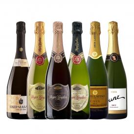  スペイン Spain 高級泡のメッカ・銘醸カタルーニャ産カバ6本セット set 