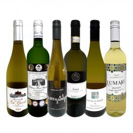  第60弾 当店 極 厳選 白ワイン wine 好きならこのセット set 格別の美味しさ 華やかな上質白ワイン wine を存分に味わう贅沢白ワイン wine 6本セット set 