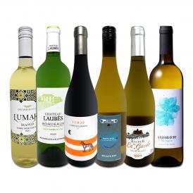  第225弾 当店厳選 極旨白ワイン wine 白ワイン wine を存分に楽しむ 味わい深いスーパーセレクト白6本 
