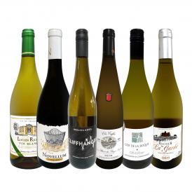  第61弾 当店 極 厳選 白ワイン wine 好きならこのセット set 格別の美味しさ 華やかな上質白ワイン wine を存分に味わう贅沢白ワイン wine 6本セット set 