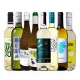  おうちタパスにピッタリ スペイン Spain 各地の白飲み比べ おうちバル白ワイン wine 8本セット set 