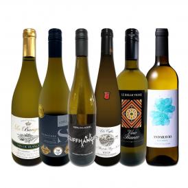  第226弾 当店厳選 極旨白ワイン wine 白ワイン wine を存分に楽しむ 味わい深いスーパーセレクト白6本 