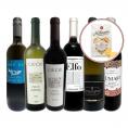  70セット set 限り ショートパスタのおまけ付き バラエティ豊かなイタリア Italy ワイン wine 6本セット set 