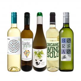  目からウロコ スペイン Spain 白ワイン wine の いま は超激旨 スペイン Spain おうちバル白ワイン wine 5本セット set 