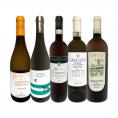  バラエティ豊かな個性を満喫 極旨イタリア Italy 白ワイン wine 5本セット set 
