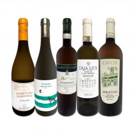 バラエティ豊かな個性を満喫 極旨イタリア Italy 白ワイン wine 5本セット set 