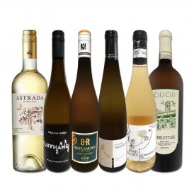  当店独自輸入 暑い夏に 白ワイン wine 好きバイヤー厳選白ワイン wine 6本セット set 