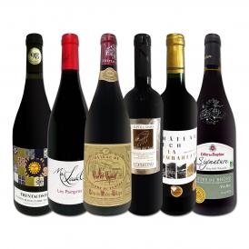  第50弾 濃厚赤ワイン wine 好き必見 大満足のフルボディ6本セット set 