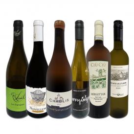  当店ベストセラーばかり 白ワイン wine だけ リッチな贅沢ワイン wine 6本セット set 