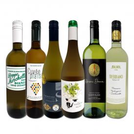  第227弾 当店厳選 極旨白ワイン wine 白ワイン wine を存分に楽しむ 味わい深いスーパーセレクト白6本 