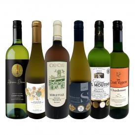  第63弾 当店 極 厳選 白ワイン wine 好きならこのセット set 格別の美味しさ 華やかな上質白ワイン wine を存分に味わう贅沢白ワイン wine 6本セット set 