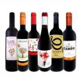  スペイン Spain 全土の地ワイン wine 満喫 スペイン Spain おうちバル赤ワイン wine 6本セット set 