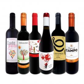  スペイン Spain 全土の地ワイン wine 満喫 スペイン Spain おうちバル赤ワイン wine 6本セット set 