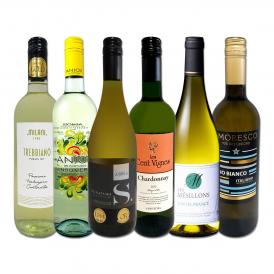  第228弾 美味しい辛口白ワイン wine だけを当店が厳選 特大感謝の大満足白ワイン wine 6本セット set 