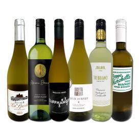  第228弾 当店厳選 極旨白ワイン wine 白ワイン wine を存分に楽しむ 味わい深いスーパーセレクト白6本 