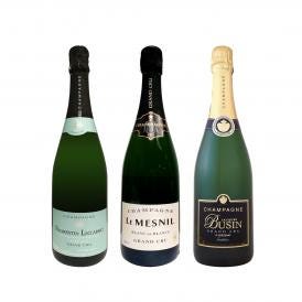  全て最高級グランクリュシャンパン 数量限定高級シャンパン3本セット set 
